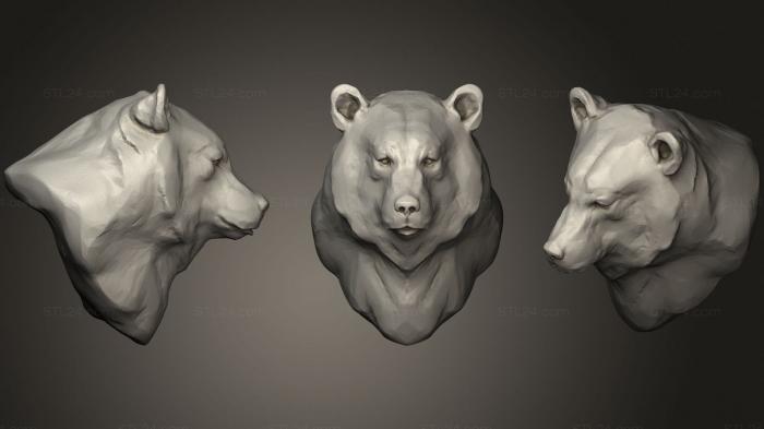 Маски и морды животных (Медведь 2, MSKJ_0392) 3D модель для ЧПУ станка